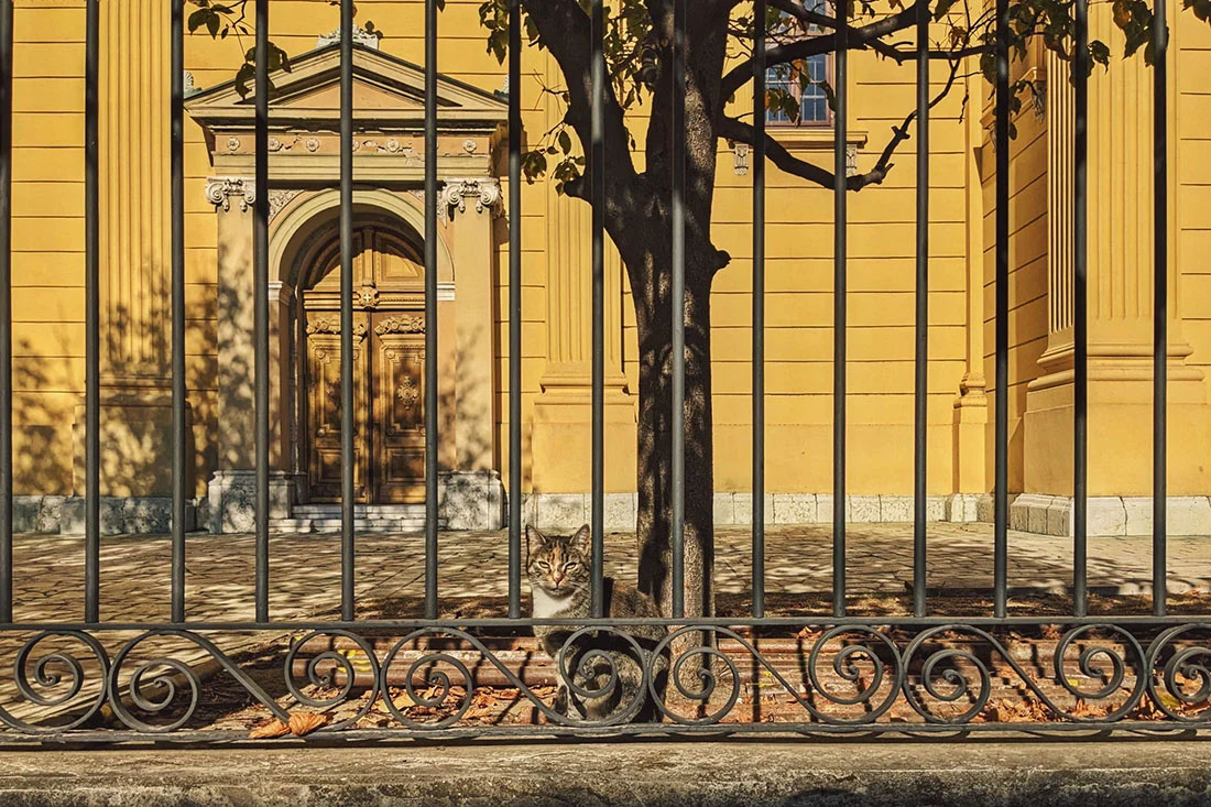 Foto: Predrag Trokicić - PEŠČANIK